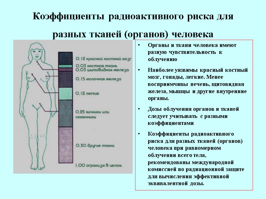 Коэффициенты радиоактивного риска для разных тканей (органов) человека Органы и ткани человека имеют разную